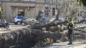 En directo | Caídas de árboles, riesgo de aludes y estaciones cerradas en Aragón por la borrasca Oriana