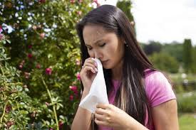 alergia