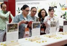 Salón Gourmets 2026: descubre las zonas clave del mayor escaparate gastronómico del mundo