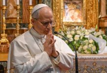 Qué hacía León XIV antes de ser Papa: su trayectoria y formación académica