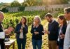 «Catas de vino monástico»: la nueva y original iniciativa para ayudar a los conventos de clausura