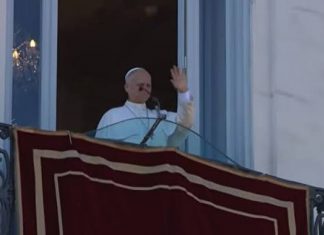 Oración, lectura y deporte: León XIV inicia su descanso estival sin audiencias generales ni privadas