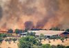 La emergencia nacional se expande: el fuego sin control afecta a 90.000 personas