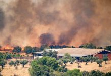 La emergencia nacional se expande: el fuego sin control afecta a 90.000 personas