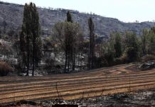 El incendio de las Cinco Villas afecta ya a 15.400 hectáreas, sigue «fuera de capacidad de extinción» y se está muy pendiente del cambio del viento