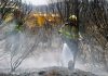 El incendio de las Cinco Villas está estabilizado y los mil desalojados empezarán a volver a casa este lunes de forma escalonada