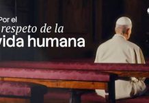 León XIV reclama el respeto a la vida «desde el primer instante de su existencia hasta el último aliento» en su intención de julio
