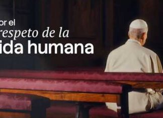 León XIV reclama el respeto a la vida «desde el primer instante de su existencia hasta el último aliento» en su intención de julio