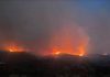 Marc, ganadero que movilizó su rebaño por el incendio en las Cinco Villas: «Recorrimos 12 kilómetros en dos horas con 1.200 ovejas»