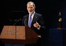 El Rey apela a la «altísima responsabilidad» de los españoles ante las elecciones del 29N